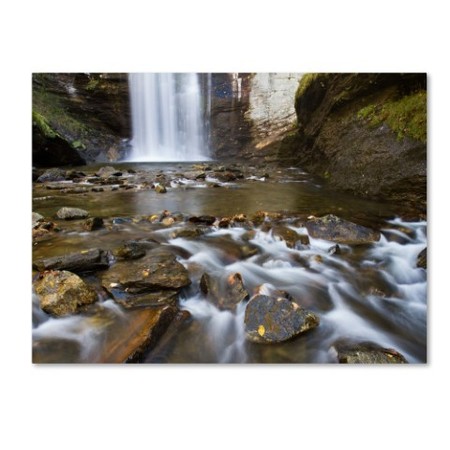 Pierre Leclerc 'Looking Glass Falls' Canvas Art,14x19